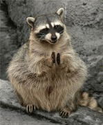 Олег Могильников