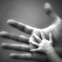 Татьяна Фадеева