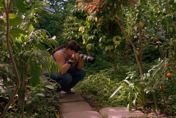 Виктория Дроздова