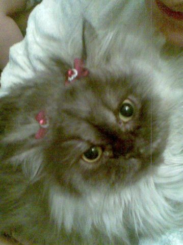 Наталия Гладилина(Петрова)