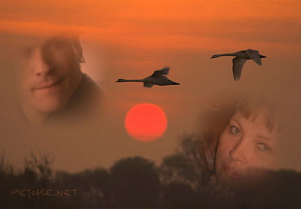 Елена Дворянчик