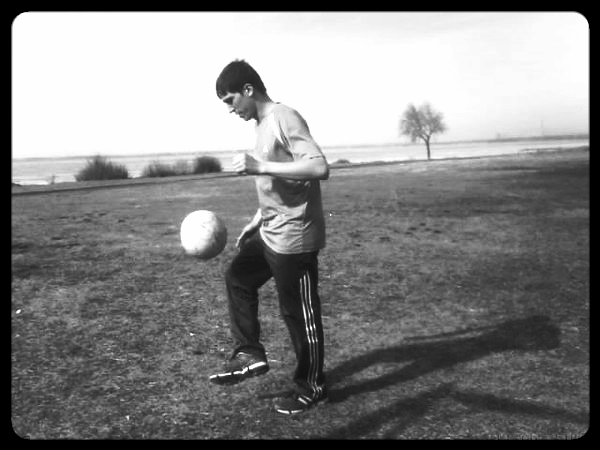 Tиmyr ))))))))))))))))