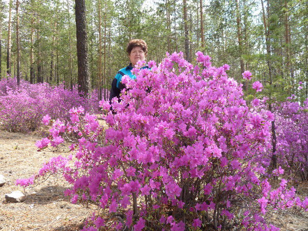 Наталья Наделяева