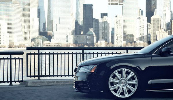 Толик Покотило