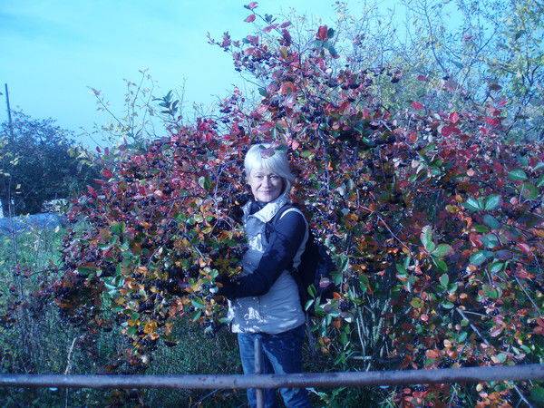 Натали Петрова