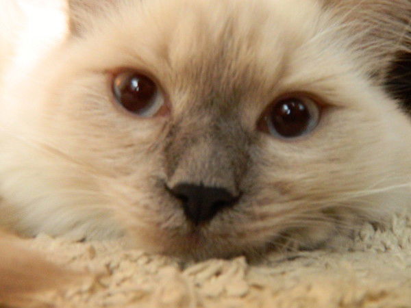 Настя Аладьина