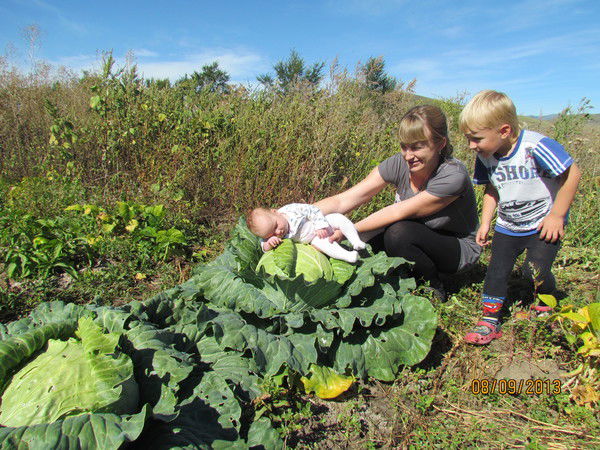 Александр Городко