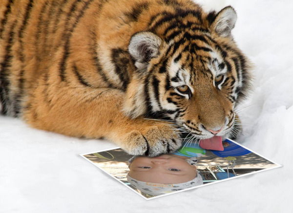 Sandugash Kulzhanova