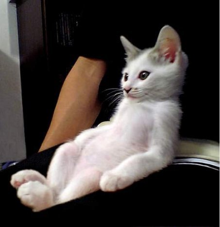 Евген Белорусский