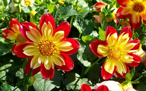 Рауан Байсанова