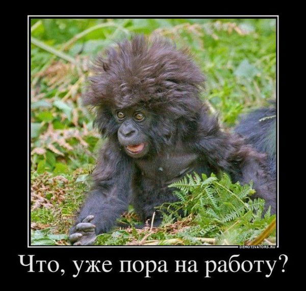 Александр Данилов