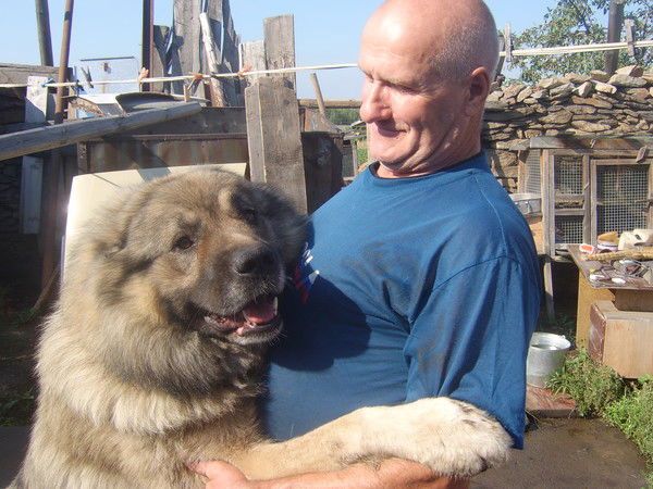 Николай Хорошенин