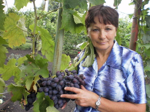 Солнечная Гроздь