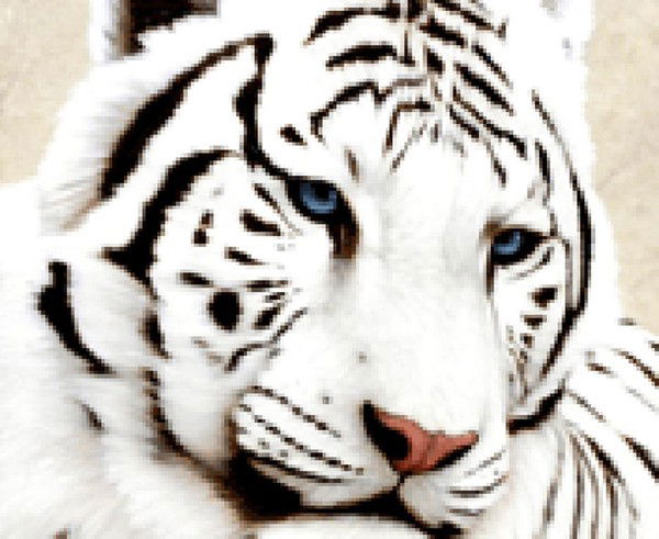 Акмалжон Юнусов