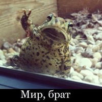 Андрей Цуканов