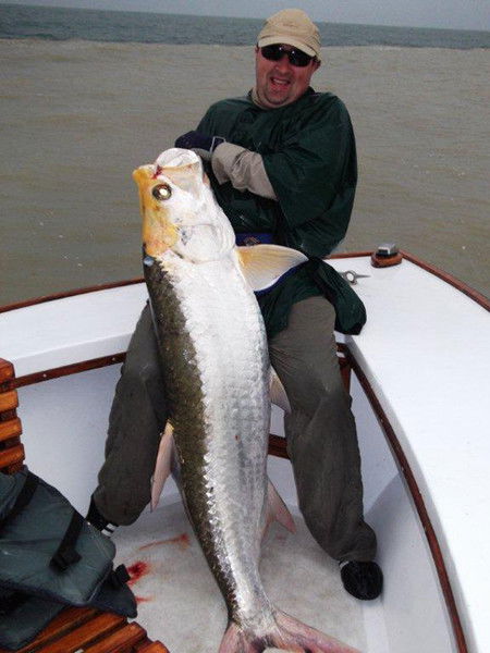 Виталий Дмитриев