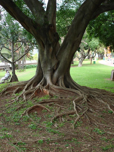 Карен Мелконян