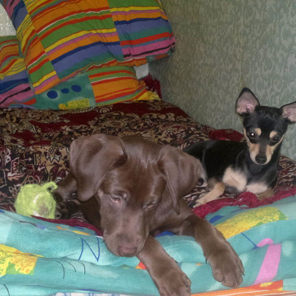 Оксана Анегденко