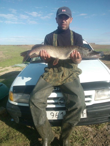 Алексей Пинекер