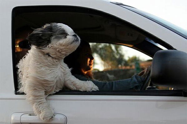 Татьяна Комарова