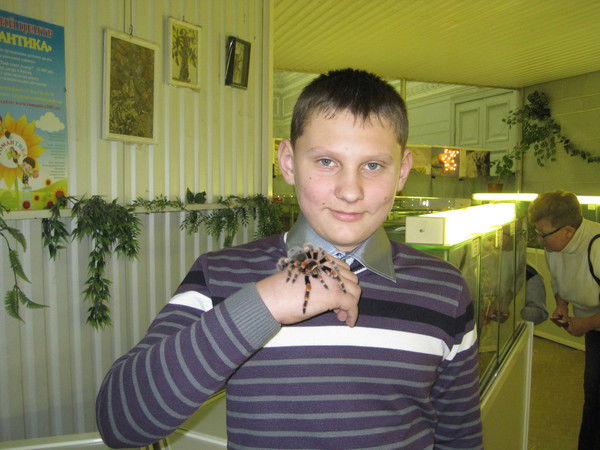 Дмитрий Рачков