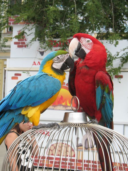 Наталья Чуйкова