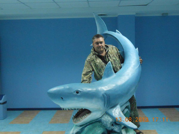 Андрей Наместников