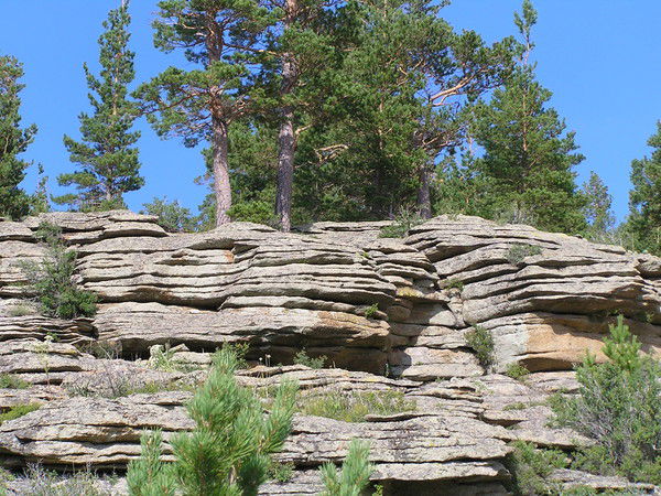 Вячеслав Сараев