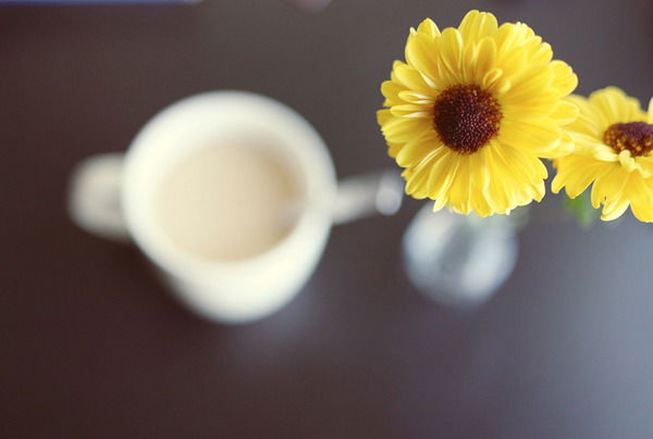 Настья Вильсонн