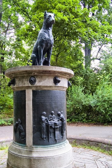 Андрей Васин