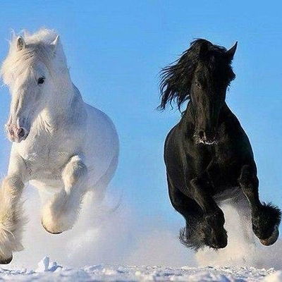 Александра Ылахова