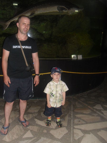 Денис Шелист