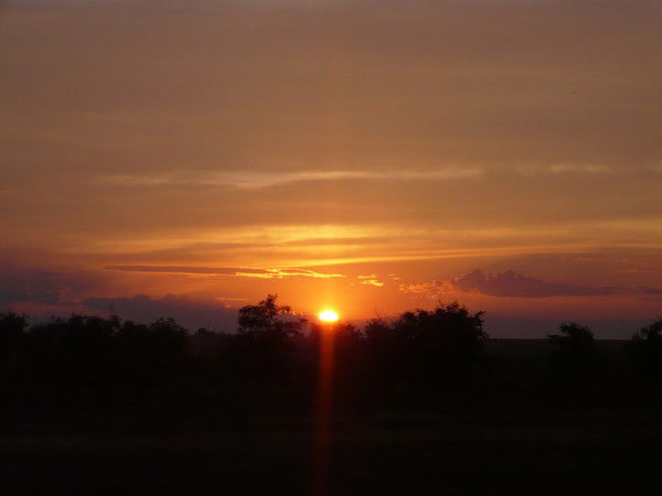 Наталья Ширинян