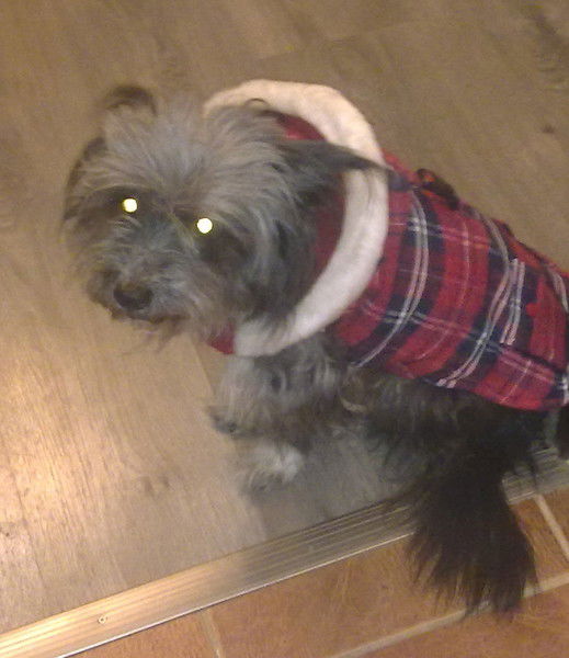 Ирина Прокопчук