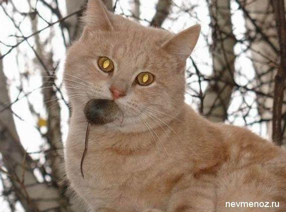 Людмила Ефремова