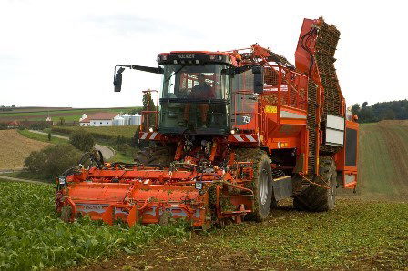 Магомед Бельтоев