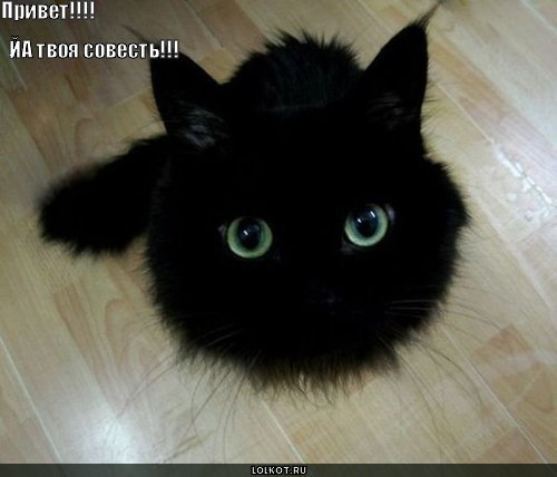 Лариса Яструб