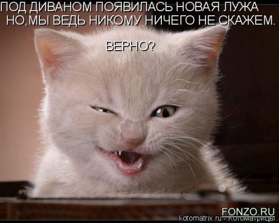 Лара Береза