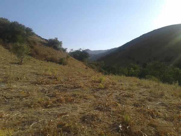 Лаура Бактымбетова