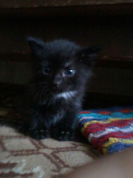 Ксюня Александрова