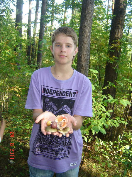 Серёга) Independent)