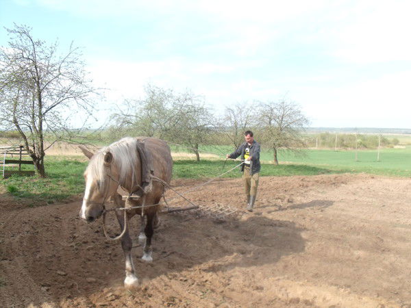 Евгений Антонов