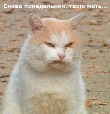 Яна Александрова