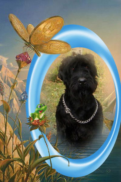 Юрий Бабиков