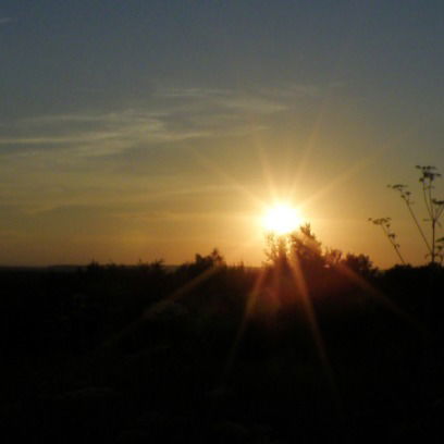 Никита Дятлов