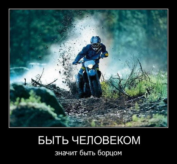 Дмитрий Беспалько