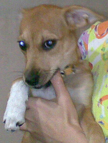 Альма Тимофеевна