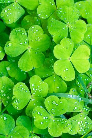 Данара Набидолдинова