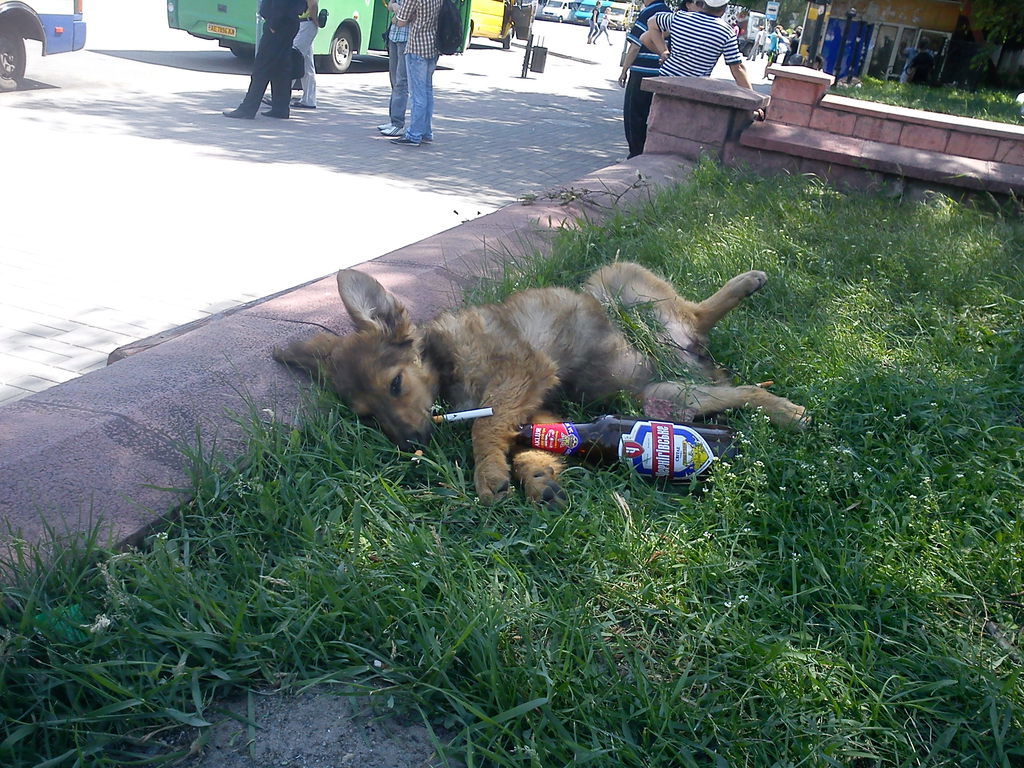 Виктор Шадрин