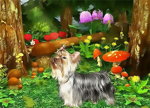 Лилия Никитенко